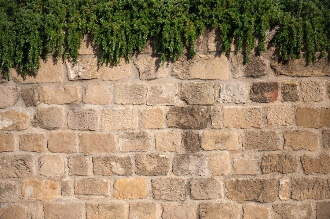 Nahaufnahme einer dicken Sandsteinmauer mit dichtem Bewuchs